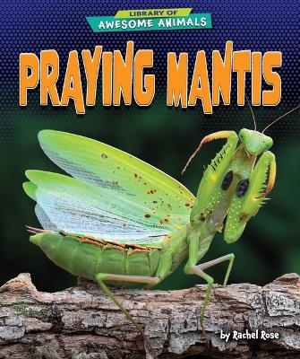 Cover of Praying Mantis