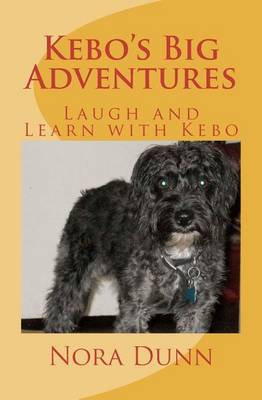Book cover for Kebo's Big Adventures