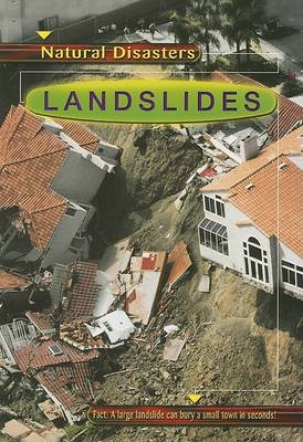 Book cover for Landslides