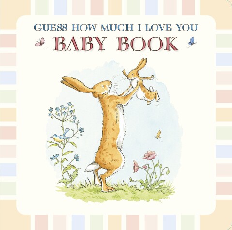 Book cover for Baby Book