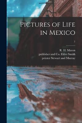 Book cover for Pictures of Life in Mexico; 1