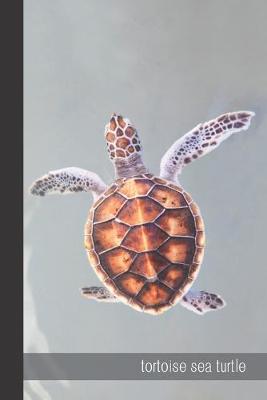 Book cover for tortoise sea turtle