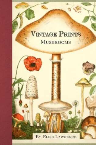 Cover of Vintage Prints