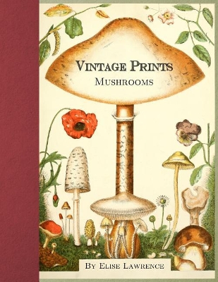 Book cover for Vintage Prints