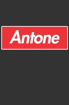 Book cover for Antone