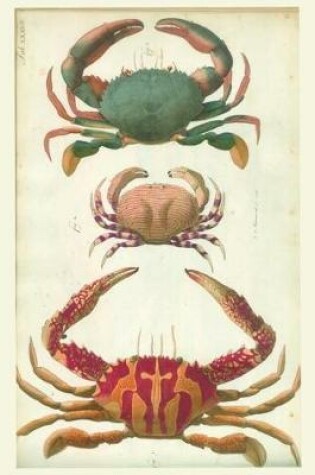 Cover of Sealife Crab Journal