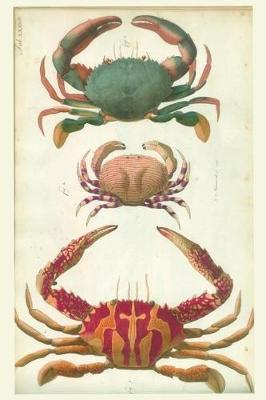 Book cover for Sealife Crab Journal