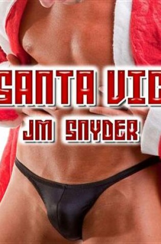 Cover of Santa Vic