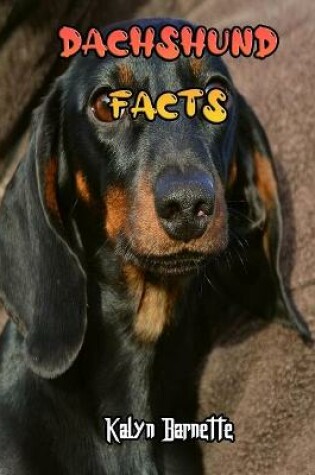 Cover of Dachshund Facts