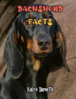 Book cover for Dachshund Facts