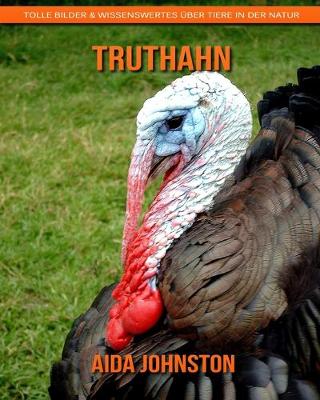 Book cover for Truthahn