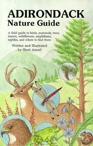 Book cover for The Adirondack Nature Guide