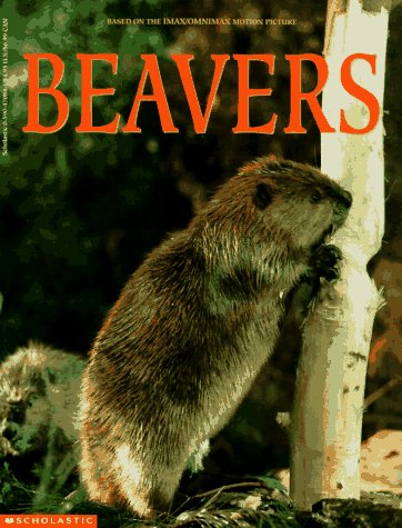 Book cover for Beavers