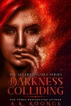Book cover for Darkness Colliding