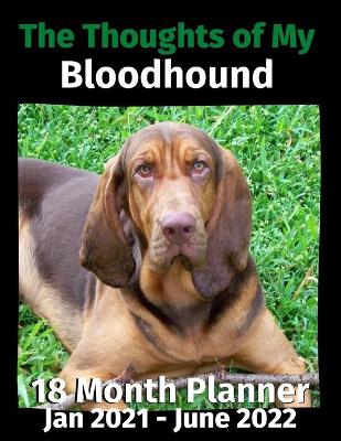 Book cover for The Thoughts of My Bloodhound