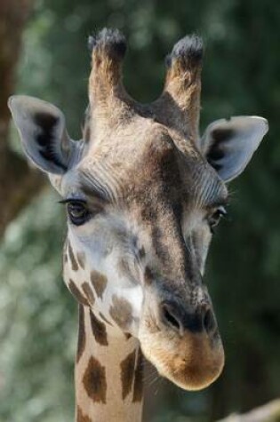 Cover of Giraffe Portrait Animal Journal