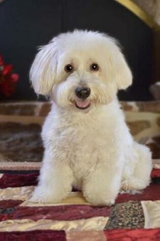 Cover of Cute White Maltese Puppy Journal