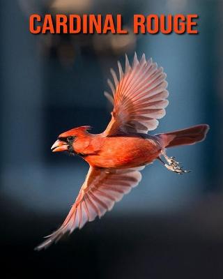 Book cover for Cardinal Rouge