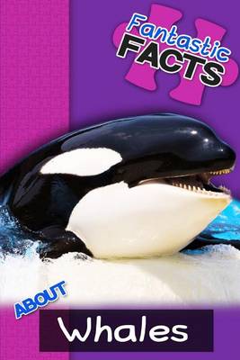Book cover for Fantastic Facts about Whales