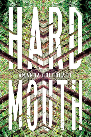 Book cover for Hard Mouth