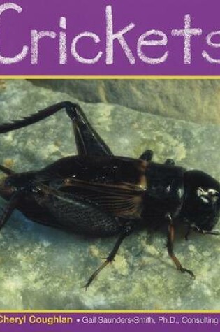 Cover of Crickets