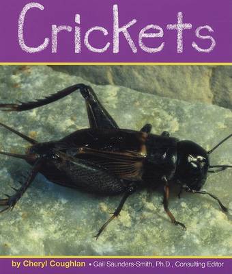 Cover of Crickets