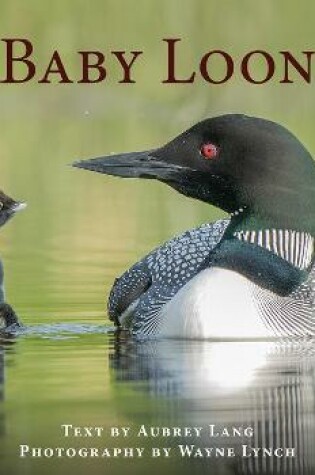 Cover of Baby Loon