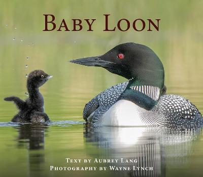 Cover of Baby Loon