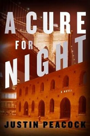 Cover of Cure for Night, A: A Novel