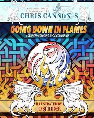 Book cover for Chris Cannon's Going Down in Flames