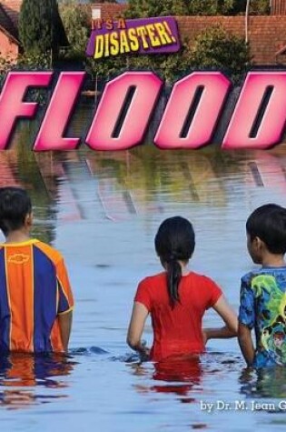 Cover of Flood