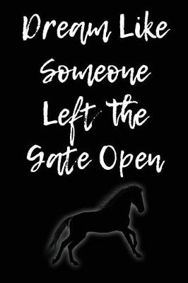 Book cover for Dream Like Someone Left the Gate Open