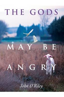 Book cover for The Gods May Be Angry