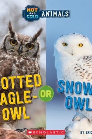 Cover of Spotted Eagle-Owl or Snowy Owl (Wild World: Hot and Cold Animals)