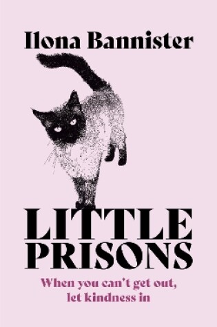 Cover of Little Prisons
