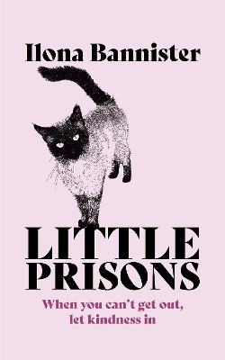 Book cover for Little Prisons