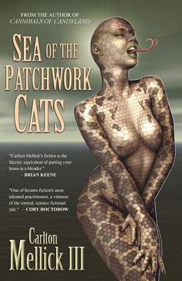 Book cover for Sea of the Patchwork Cats