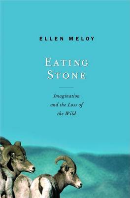 Book cover for Eating Stone