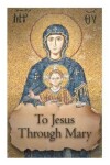 Book cover for To Jesus through Mary