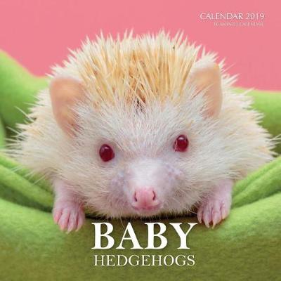 Book cover for Baby Hedgehogs Calendar 2019