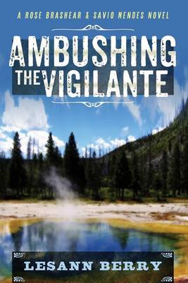 Book cover for Ambushing the Vigilante