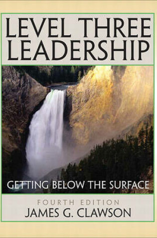 Cover of Level Three Leadership