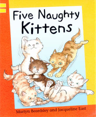 Book cover for Five Naughty Kittens