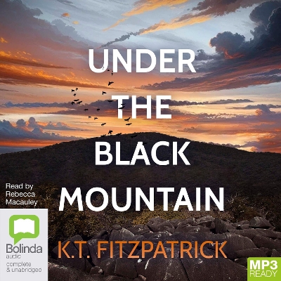 Book cover for Under the Black Mountain
