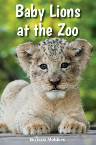 Cover of Baby Lions at the Zoo