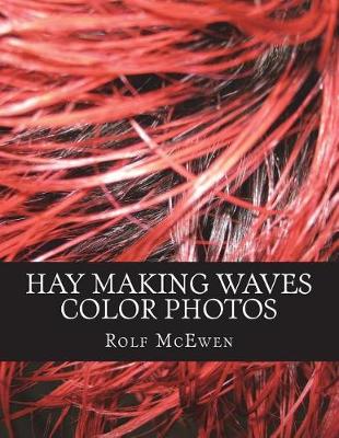 Book cover for Hay Making Waves - Color Photos