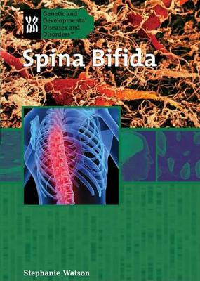 Book cover for Spina Bifida