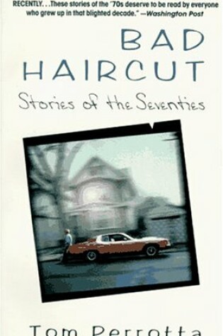 Cover of Bad Haircut: Stories of the Seventies