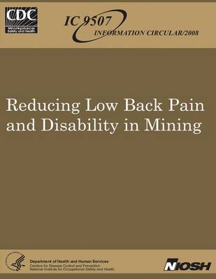 Book cover for Reducing Low Back Pain and Disability in Mining