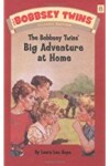 Book cover for Big Adventure at Home